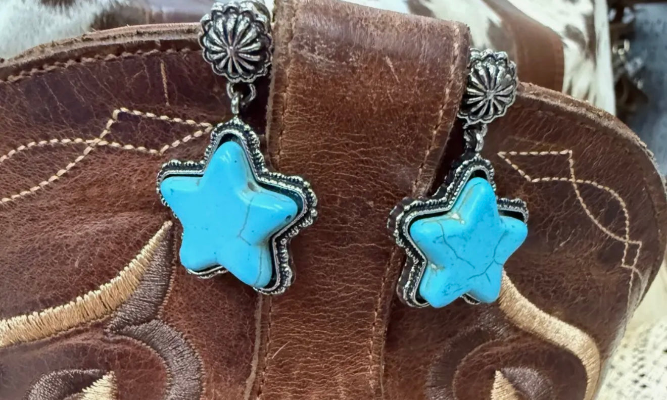 Star Dangle Earring
